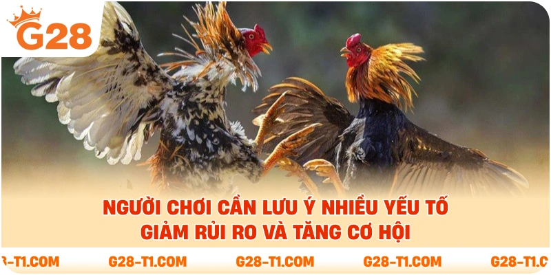 Người chơi cần lưu ý nhiều yếu tố giảm rủi ro và tăng cơ hội
